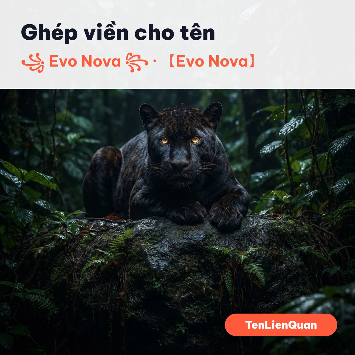 Tên ghép viền Evowars.io Ghép viền với tên Evo Nova cho Evowars.io